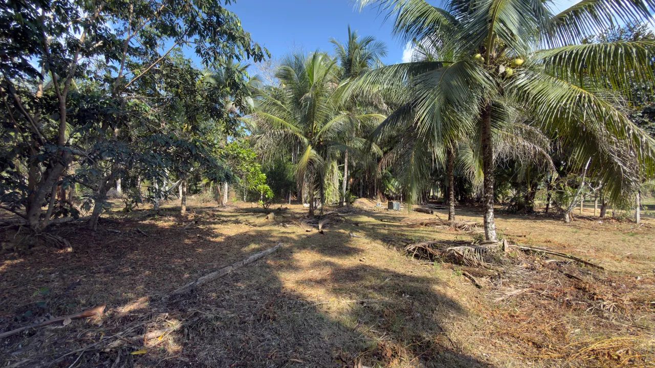 Vende-se sítio em Presidente Figueiredo  - Foto 5