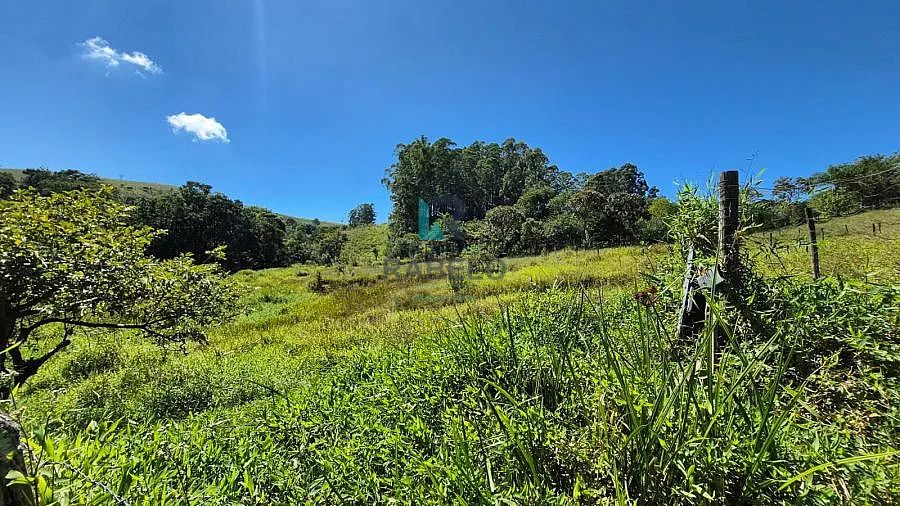 SÍTIO FORMADO COM FÁCIL ACESSO EM LAGOINHA-SP - Foto 5