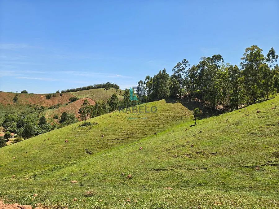 SÍTIO FORMADO EM SÃO LUIZ DO PARAITINGA-SP - Foto 4
