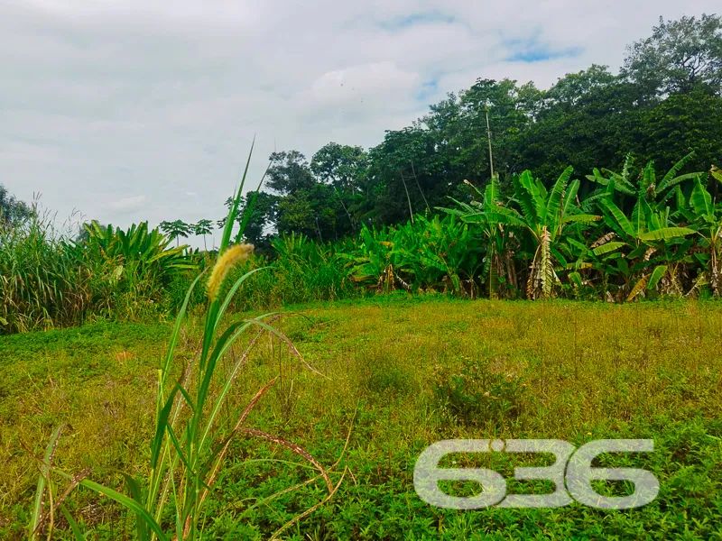 Terreno | Joinville | Pirabeiraba - Foto 2