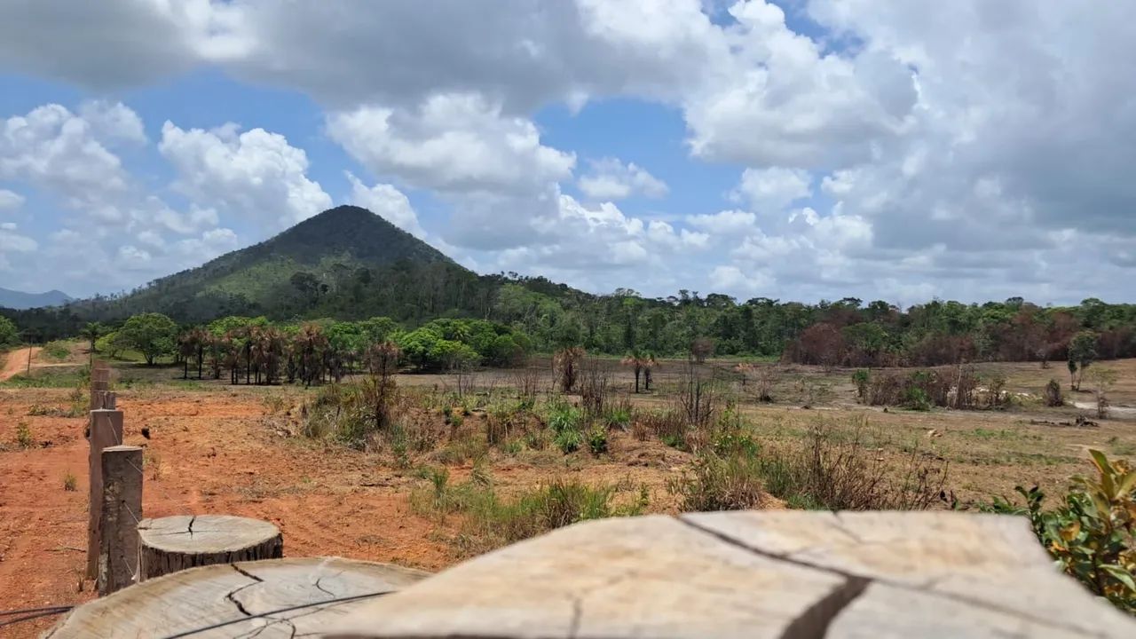 Vende sítio formado  - Foto 5