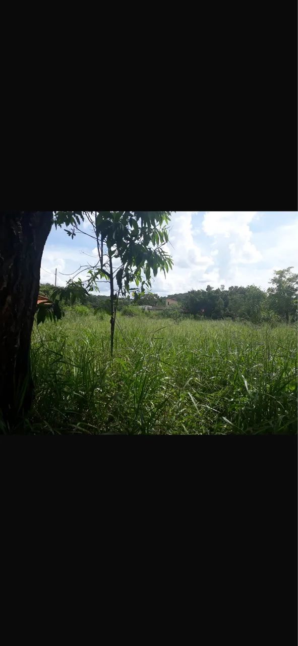 Foto - Contagem - Santa Helena