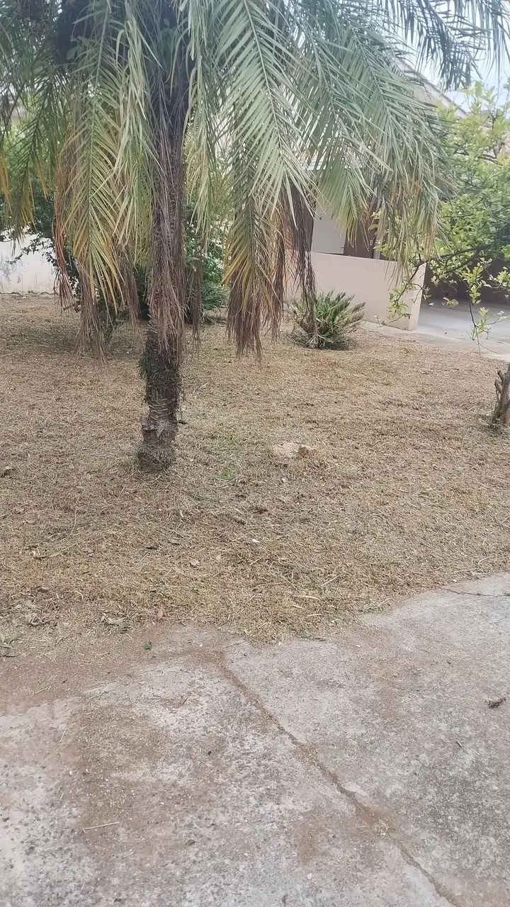  jardinagem moro em ponta grossa  - Foto 4