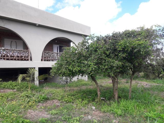 Sitio Limoeiro - Foto 3