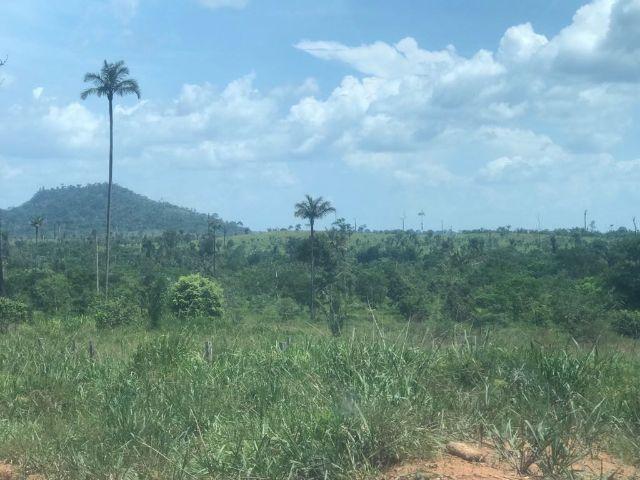 423 alqueires, com 290 aberto 100% faz Lavoura - Foto 4