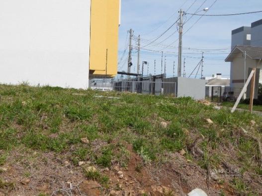 Terreno à venda em Sao luiz, Caxias do sul cod:11227 - Foto 7