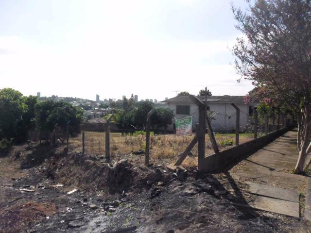 Terreno à venda em Santo andre, São leopoldo cod:8910