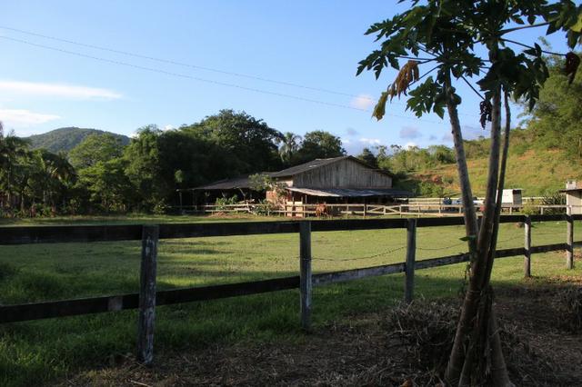 Lindo Sitio em Camboriú - Foto 13