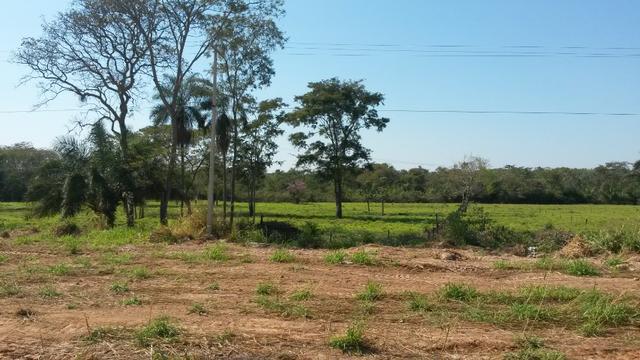 Chacara em Nobres - Foto 13