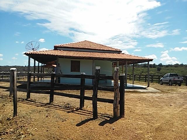 Fazenda de gado em formosa do rio preto. excelente.