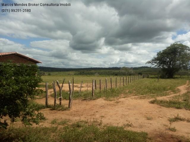 Fazenda a venda em baixa grande - bahia / brasil. - Foto 2