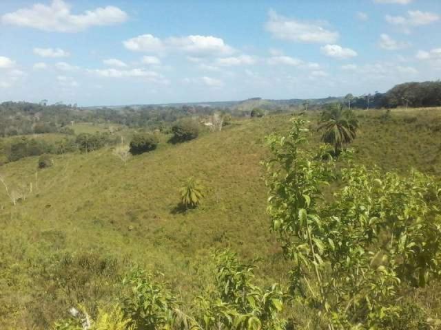 Fazenda de cacau no sul da bahia. mascote - camacã - itabuna - Foto 10