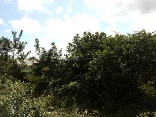 Terreno, Sim, Feira de Santana-BA - Foto 2