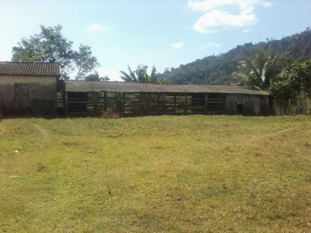 Fazenda de cacau no sul da bahia. mascote - camacã - itabuna - Foto 15