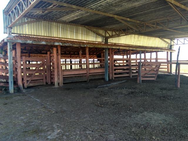Fazenda Rio dos Bois, Cezarina, 8 Alq ,prox. Varjão-Gercinapolis, 100km de Goiânia - Foto 8
