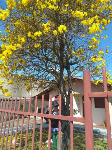 Casinha Aconchegante - Foto 2