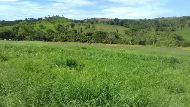 Santo Antônio do Descoberto - Goiás - Foto 10