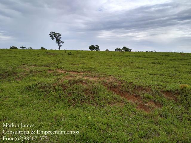 Fazenda em Americano do Brasil! - Foto 4