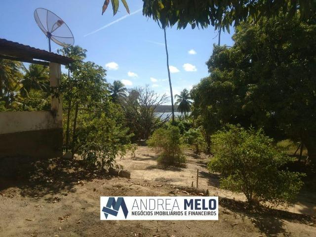 Chacara na Margem da Lagoa em Jequiá! - Foto 5