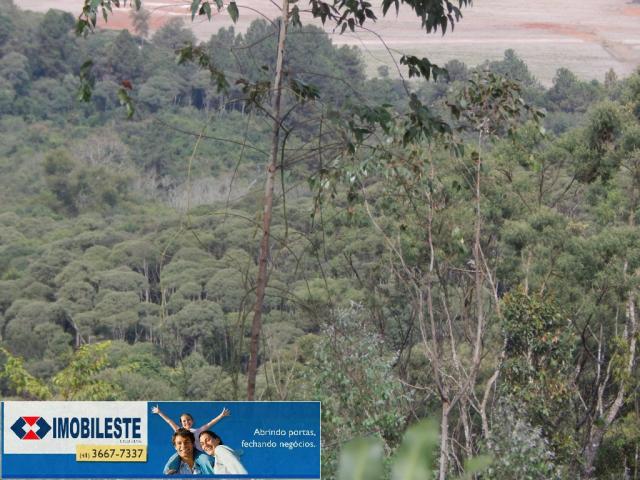 Terreno à venda em Lustosa arroio grande, Ipiranga cod:10330.1860 - Foto 9