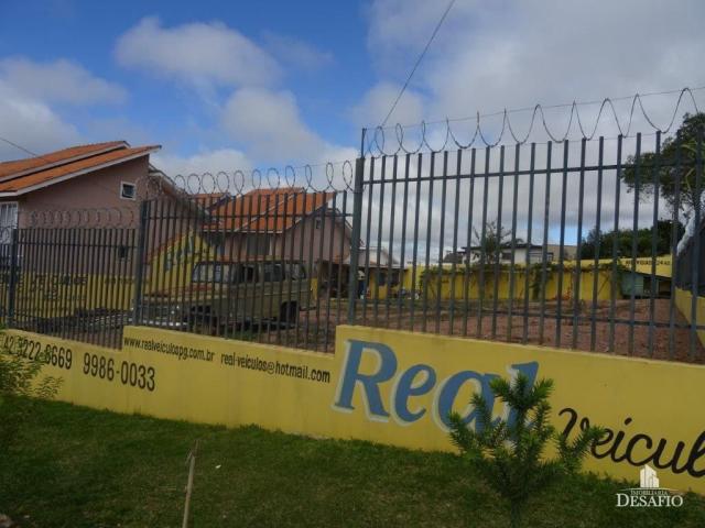 Terreno para alugar em Jardim carvalho, Ponta grossa cod:2015/1625 - Foto 2