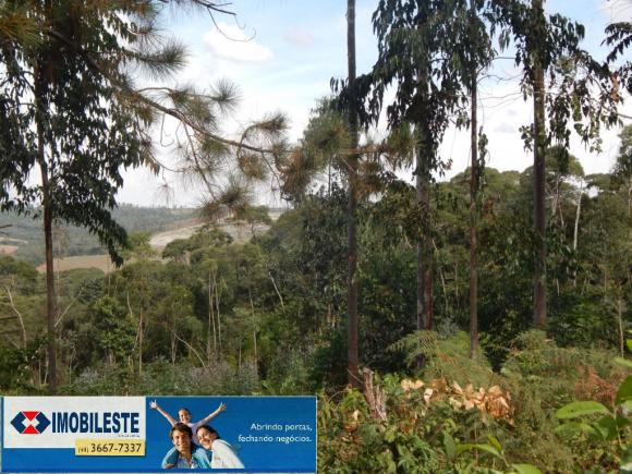 Terreno à venda em Lustosa arroio grande, Ipiranga cod:10330.1860 - Foto 8