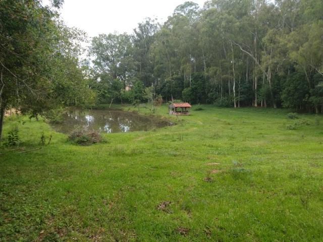 Sítio 4,1 hectares - volta do anacleto - montenegro - rs - Foto 10