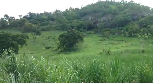 Propriedade de 140 hectares, entre Vitória e Escada-PE. - Foto 14