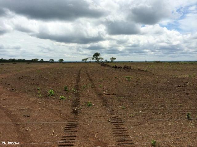 Fazenda para Venda em Gurupi, Área Rural de Gurupi, 3 dormitórios, 2 banheiros, 5 vagas - Foto 17