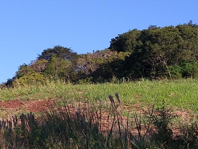 Chácara Lindoeste perto Br 163 e centro - Foto 5