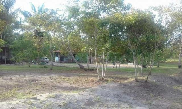 Lindo Terreno 50×100