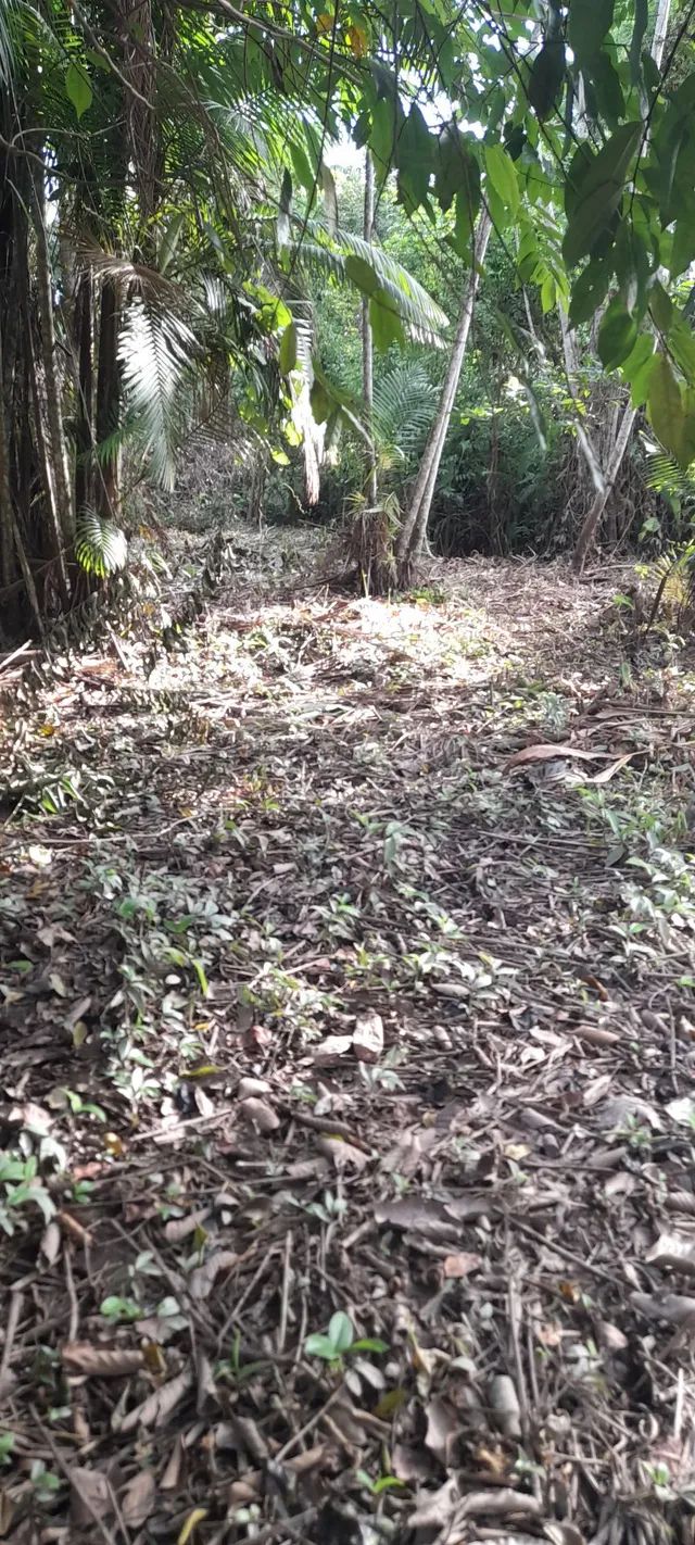 Terreno com casa e balneário no Anauerapucu  - Foto 5