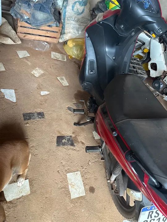 50 JETshineray - Foto 2