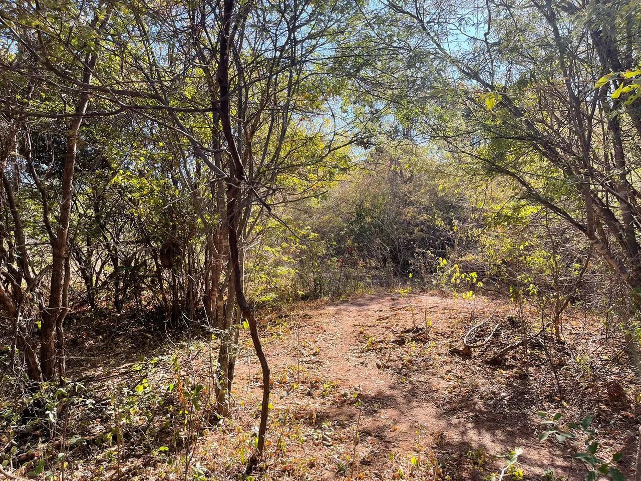 Area 240 Hecatres!! Escriturada e Geo Referenciada!!!Aceita veiculo e Imovel... - Foto 8