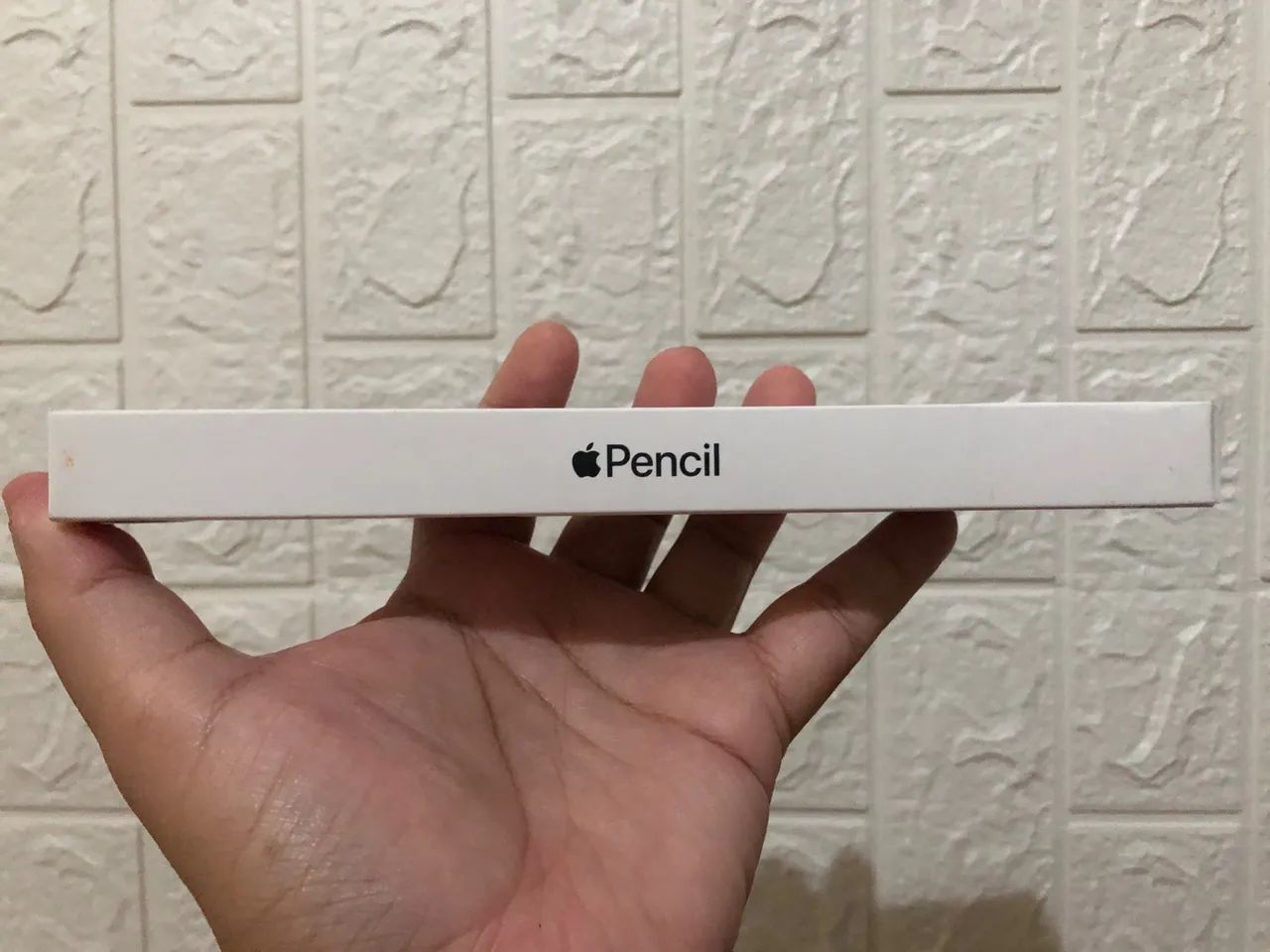 Apple Pencil (USB-C) para iPad, iPad Mini, iPad Air e iPad Pro - Nova e Lacrada - Foto 2