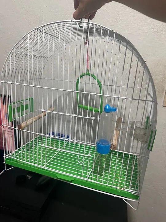 Gaiola grande  - Foto 2