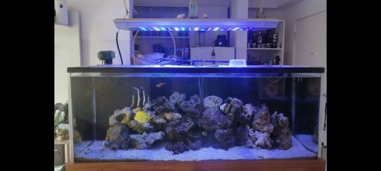 Apenas o aquário(vidro) usado150x45x60 LEAI DESCRICAO! 