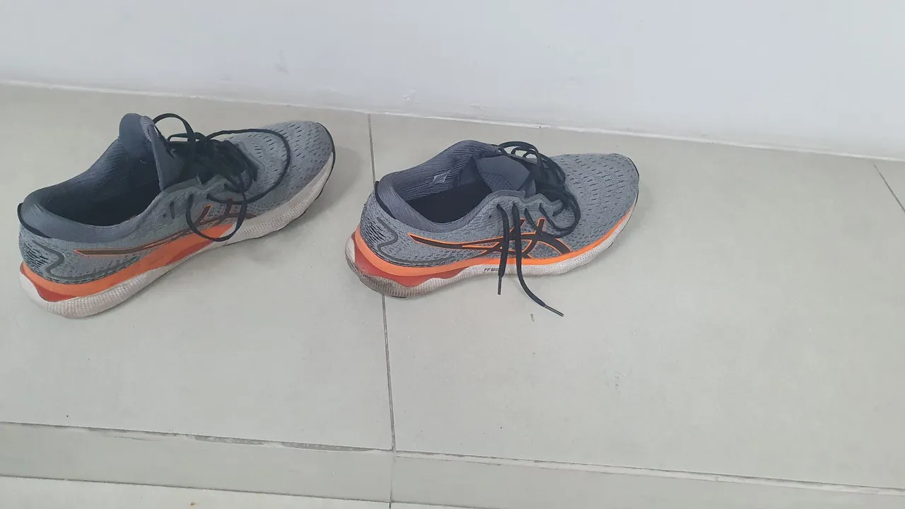 Asics nimbus 24