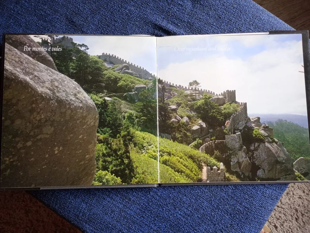 Selos de Portugal  - Foto 5