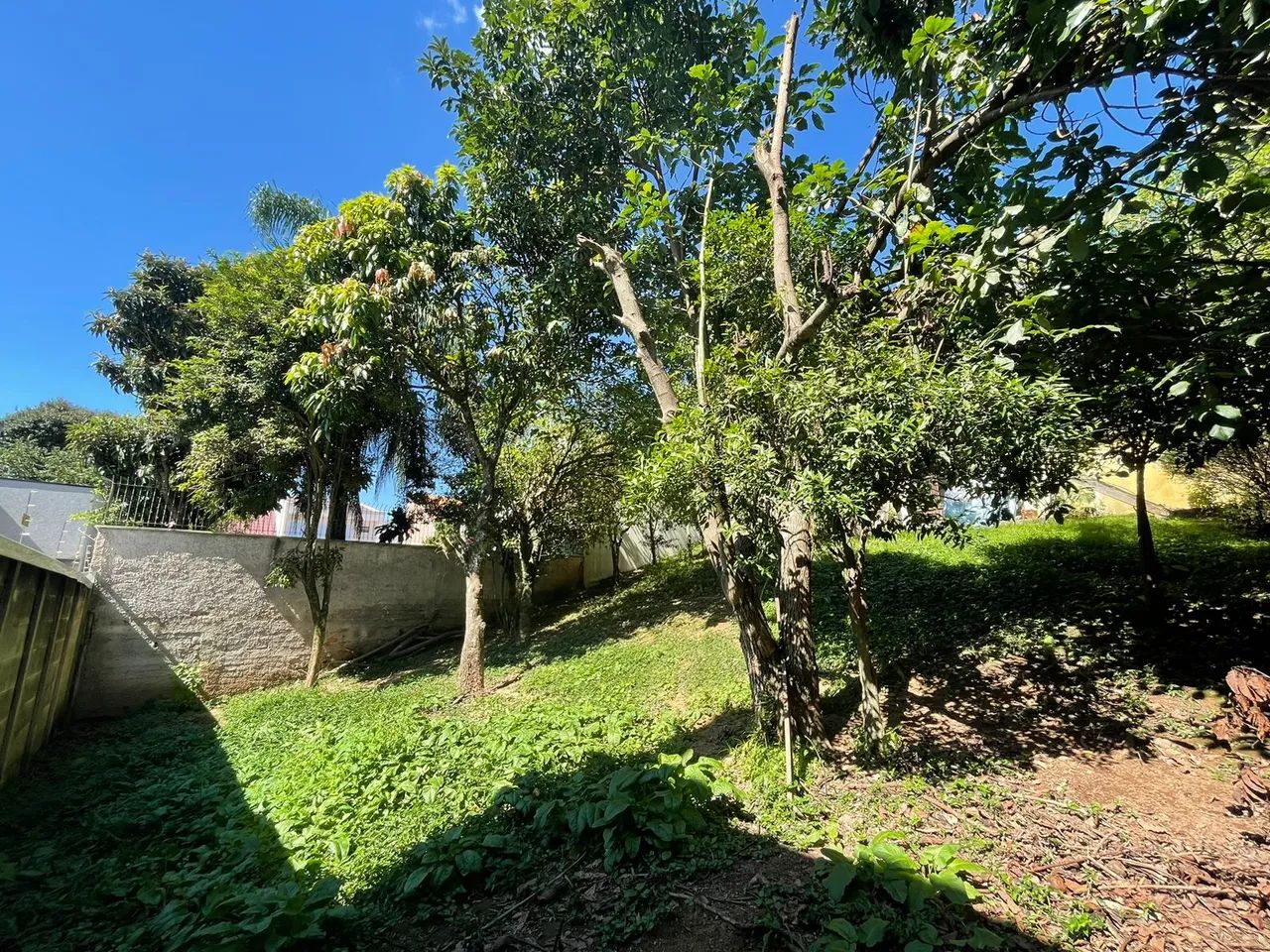 SANTO INÁCIO - Foto 4