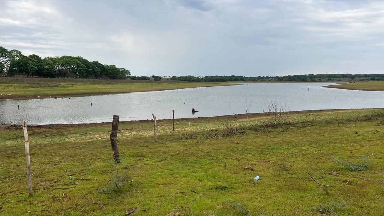 Foto - Fernandópolis - 