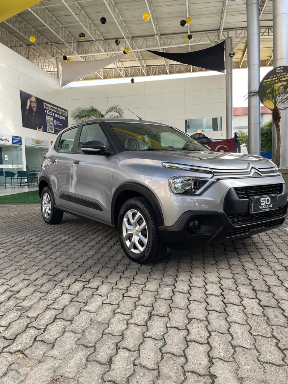 C3 1.0 manual 2023