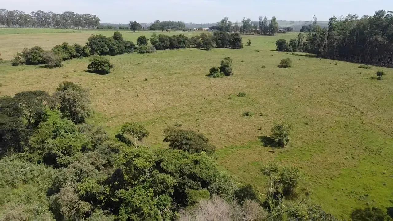 Imóvel para venda com 116160 metros quadrados - Foto 4