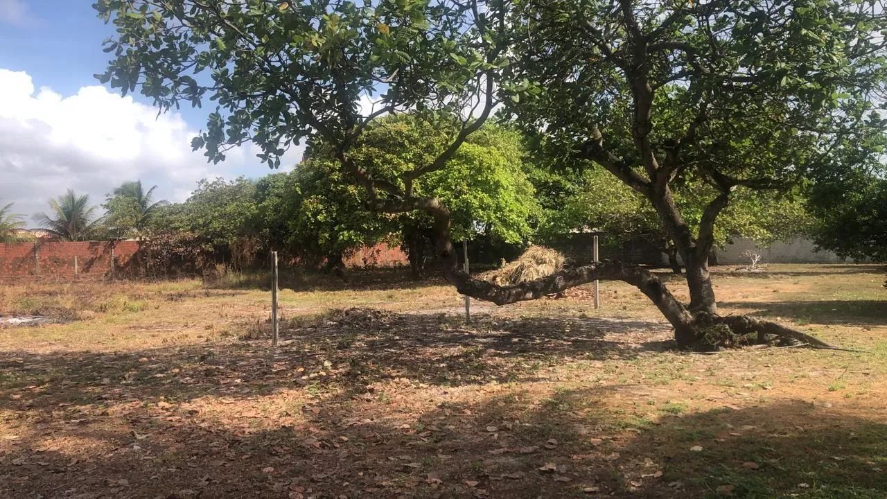 Área comercial na Zona norte de Natal com EXCLUSIVIDADE - Foto 3