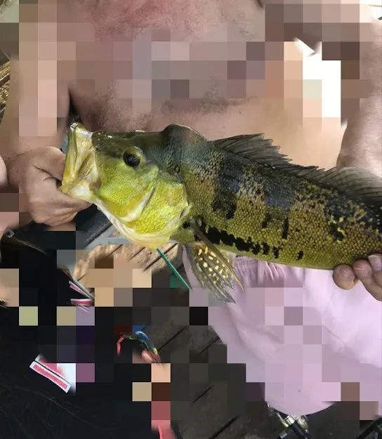 Rancho confortável Pacotes: Natal e Carnaval - Foto 12