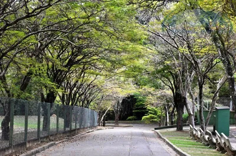 Terreno à venda, 800 m² por R$ 1.300.000,00 - Condomínio Marambaia - Vinhedo/SP - Foto 3