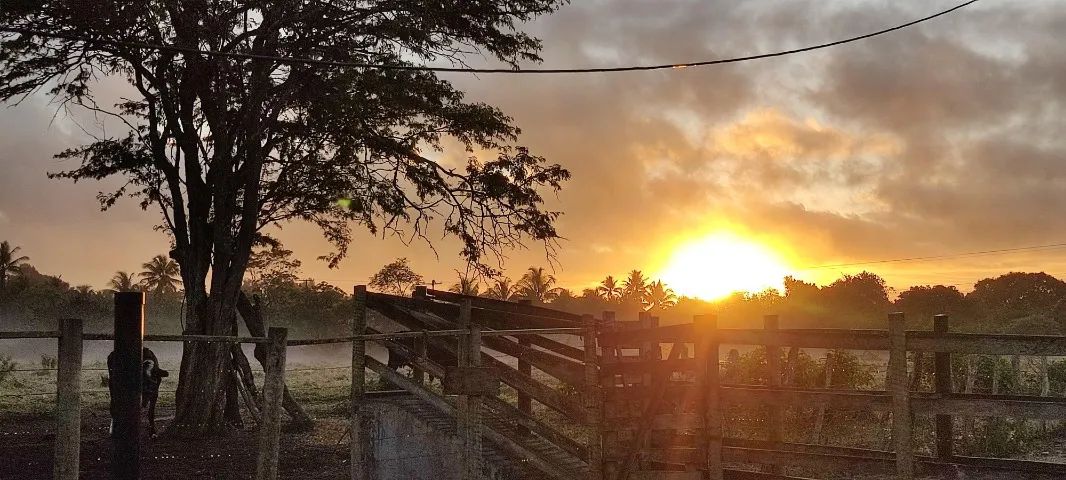 SÍTIO EM SÃO GONÇALO - 19,9 - Foto 5