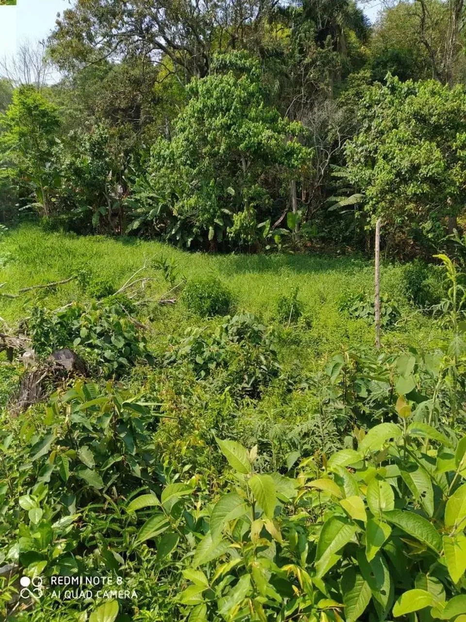 Lote em Rua Periquito - Jardim Nova Cotia - Itapevi/SP