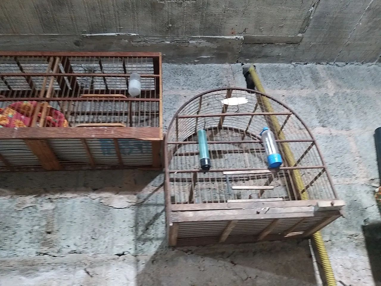 Gaiolas diversas - Foto 2