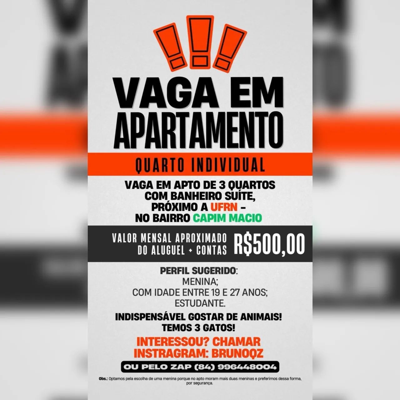 Foto - Natal - Capim Macio